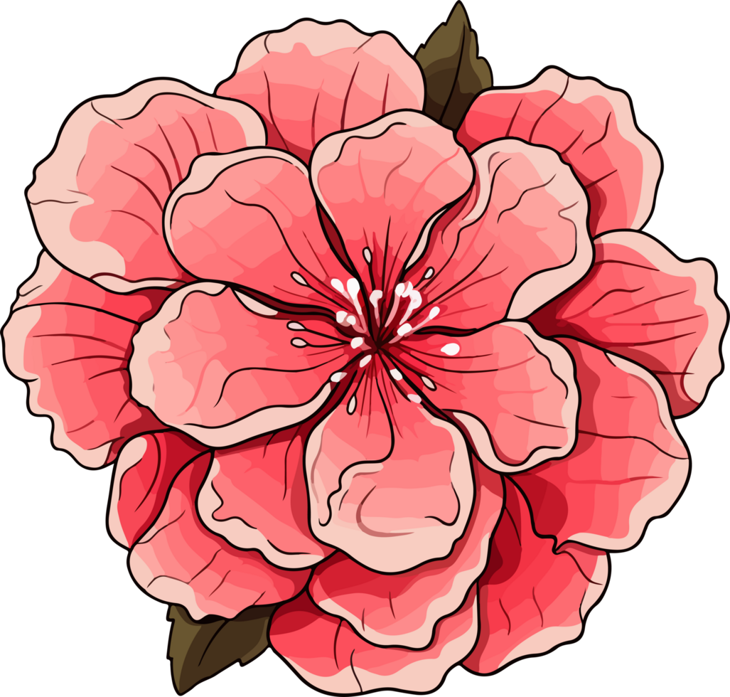 Rose clipart design illustration png
