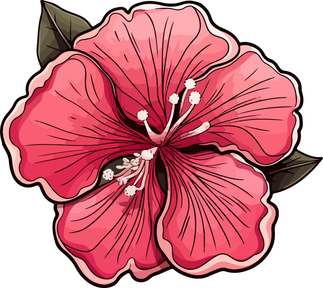 Rose clipart design illustration png