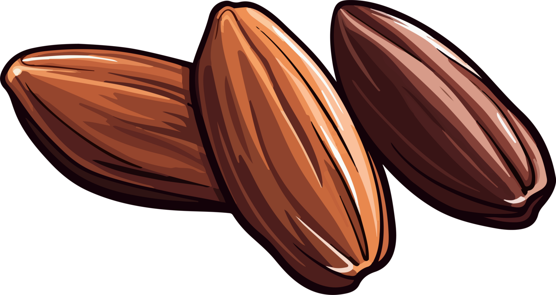Dried dates clipart design i llustration png