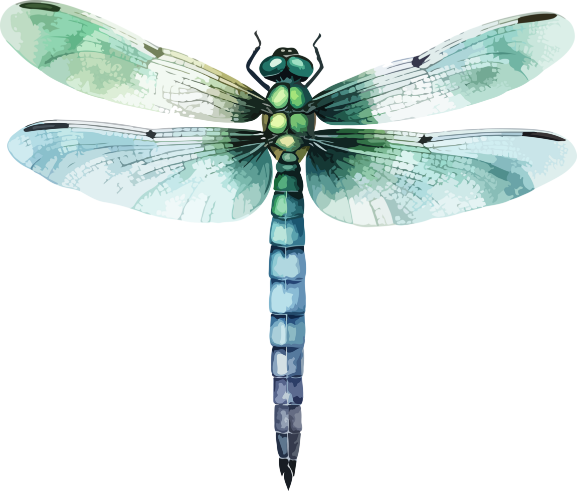 Dragonfly clipart design illustration png