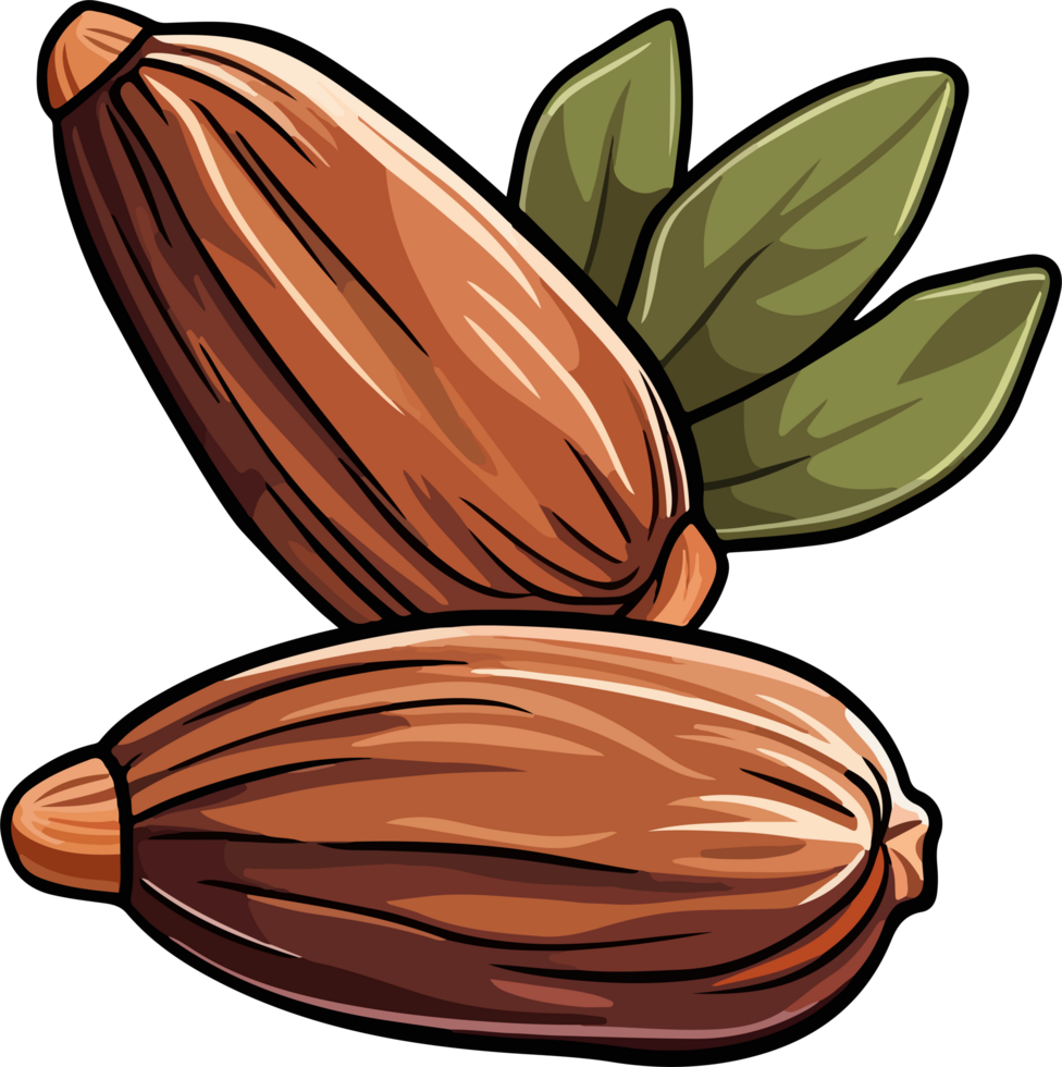 Dried dates clipart design i llustration png