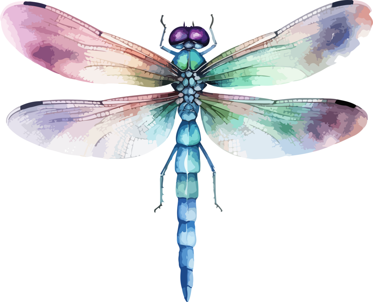 libel clip art ontwerp illustratie png