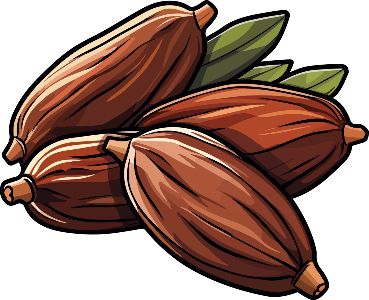 Dried dates clipart design i llustration png