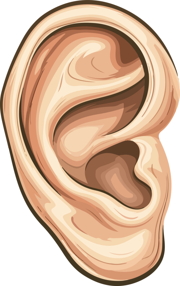 Ear clipart design illustration png