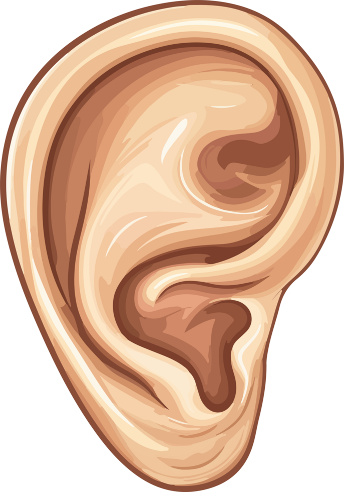 Ear clipart design illustration png