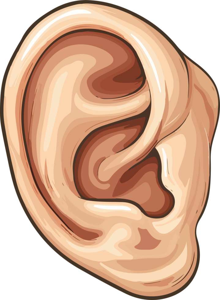Ear clipart design illustration png