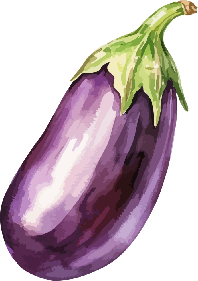 Eggplant clipart design illustration png