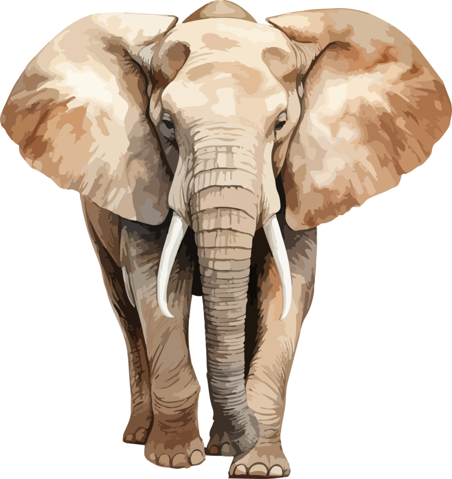 Elephant clipart design illustration png