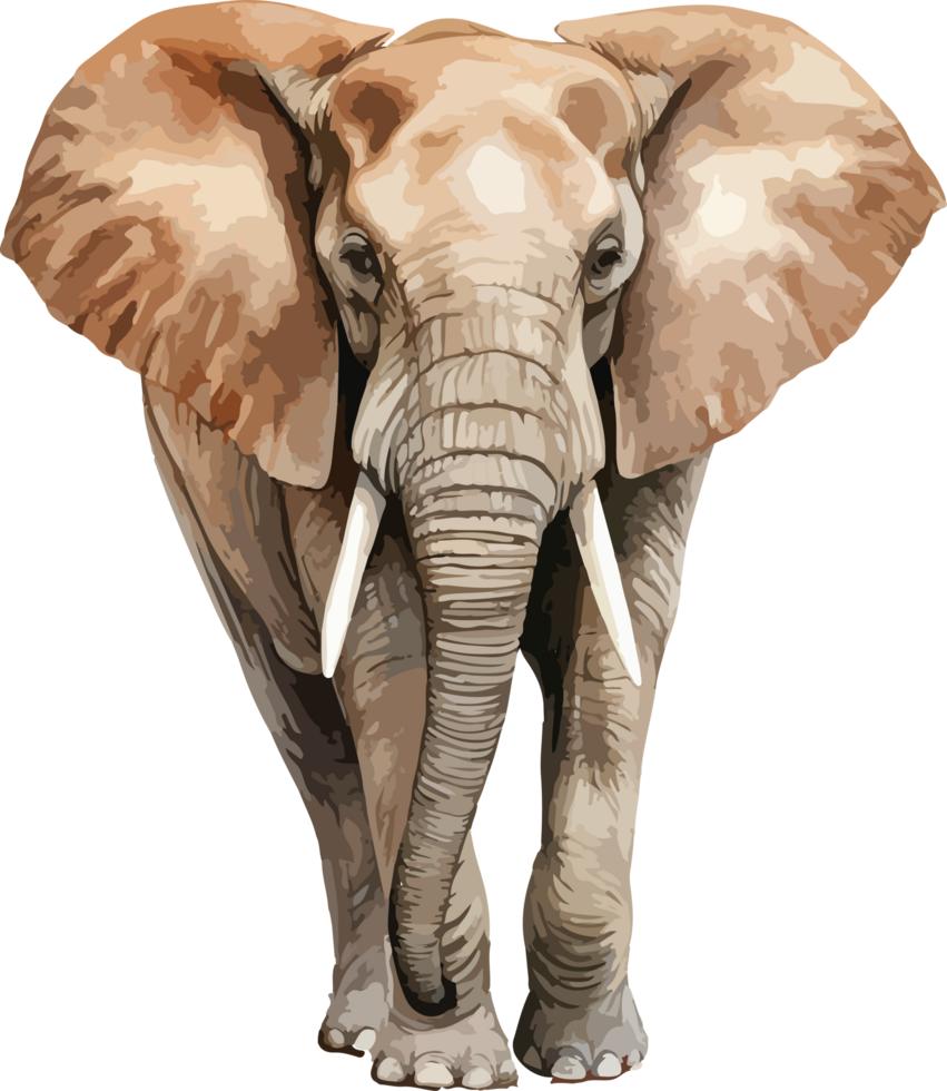 Elephant clipart design illustration png