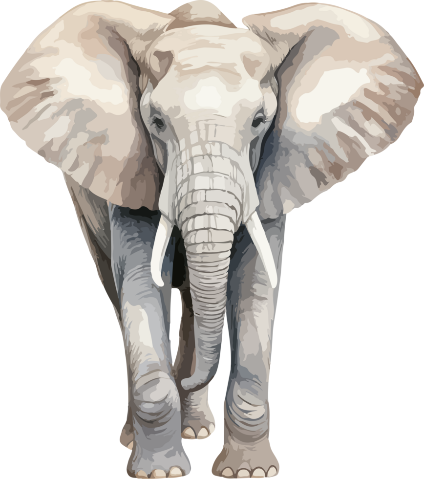 Elephant clipart design illustration png