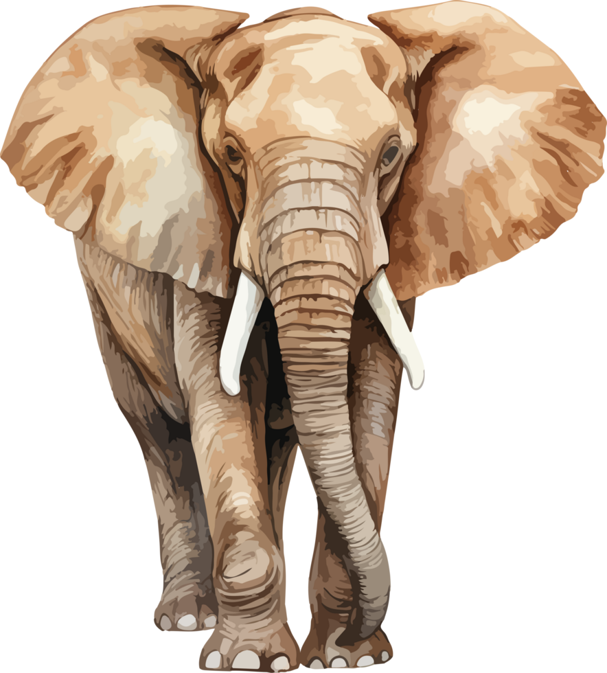 Elephant clipart design illustration png