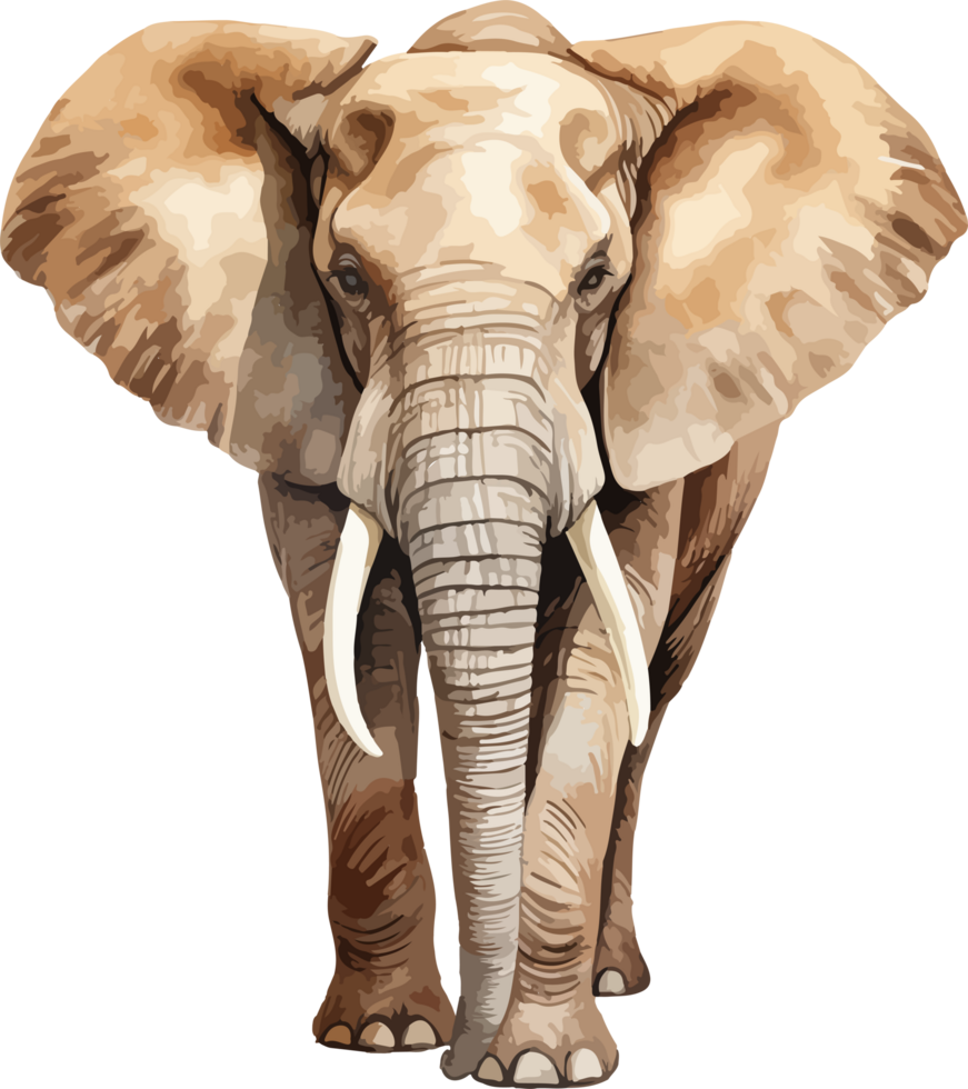 Elephant clipart design illustration png