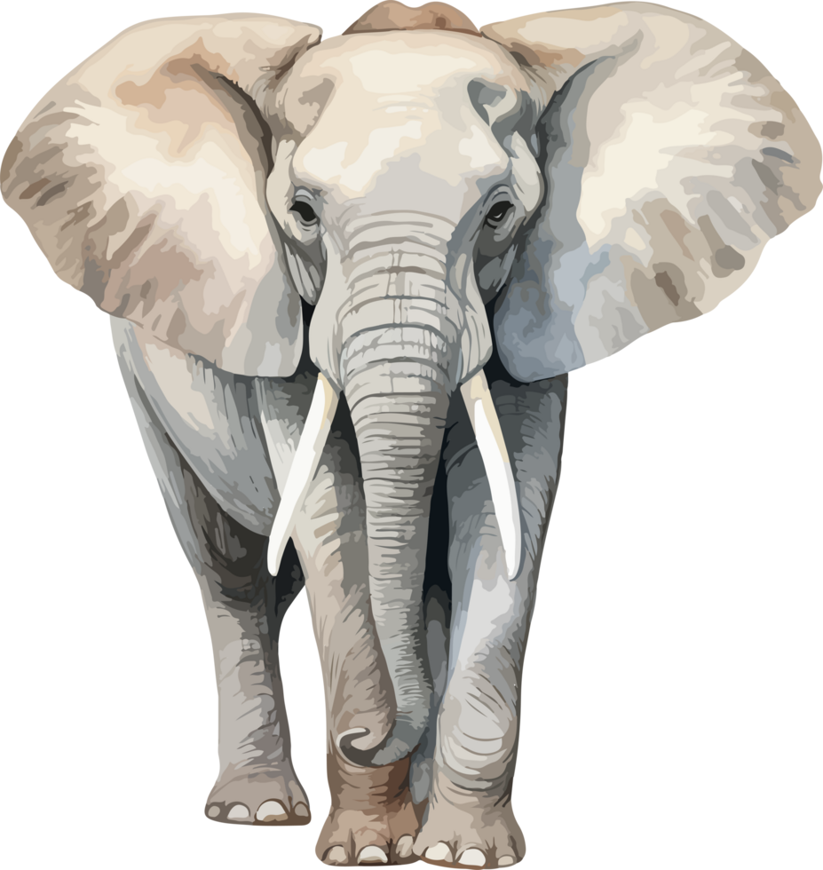 Elephant clipart design illustration png