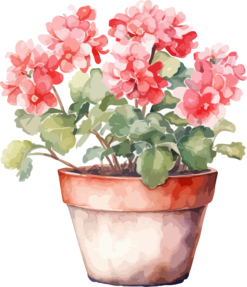 Flower in pot clipart design illustration png