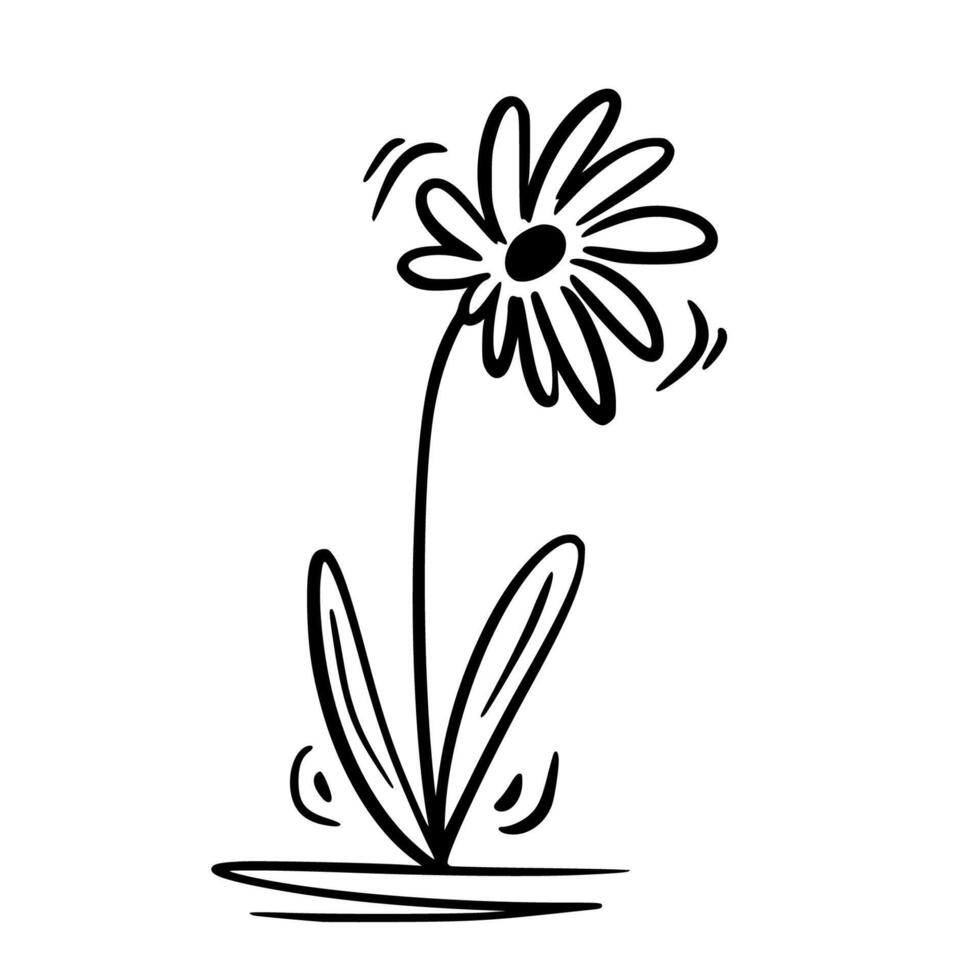 Chamomile flower on a white background. Doodle. Hand drawing. vector