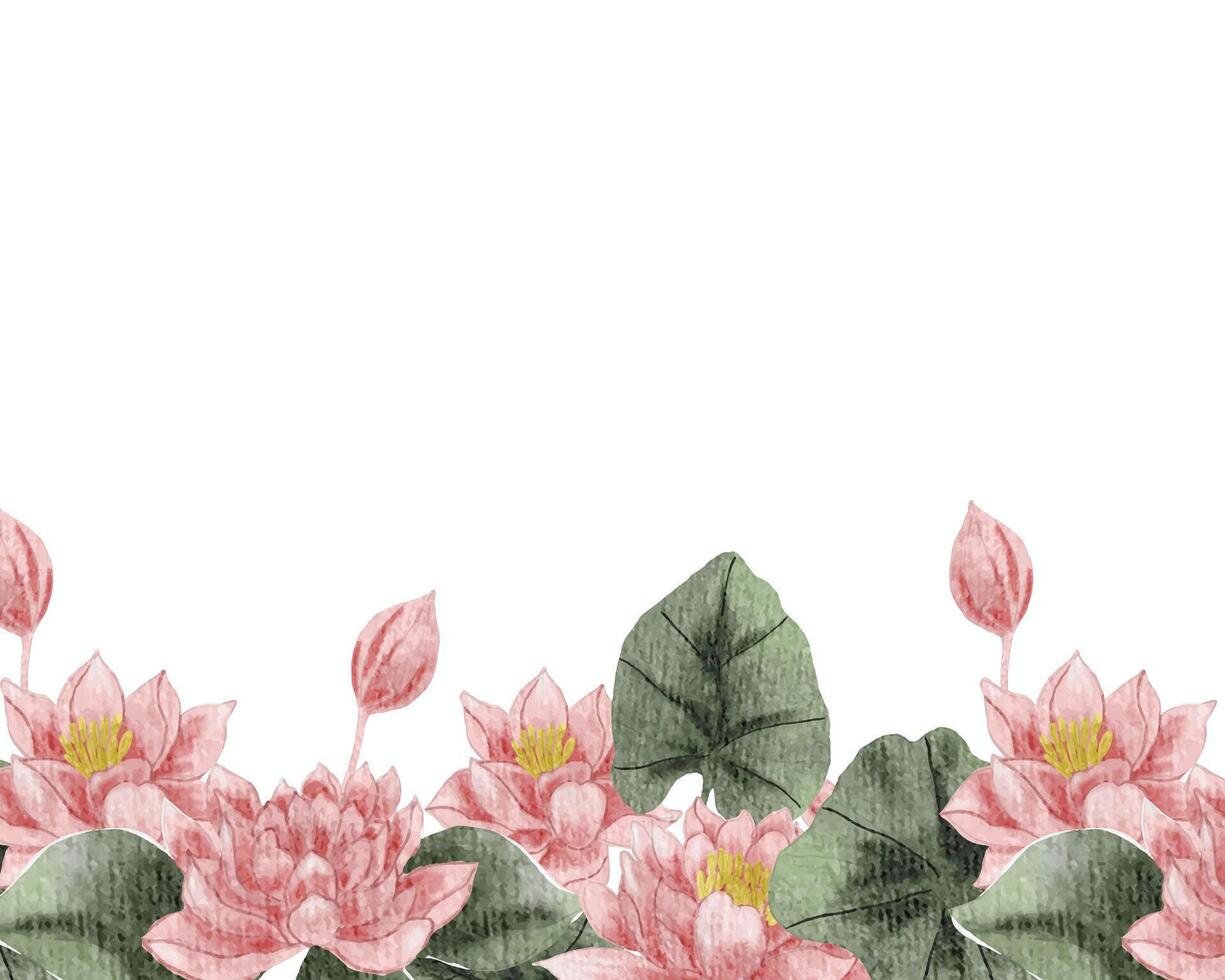 Pink Water Lily Watercolor Flower Background vector