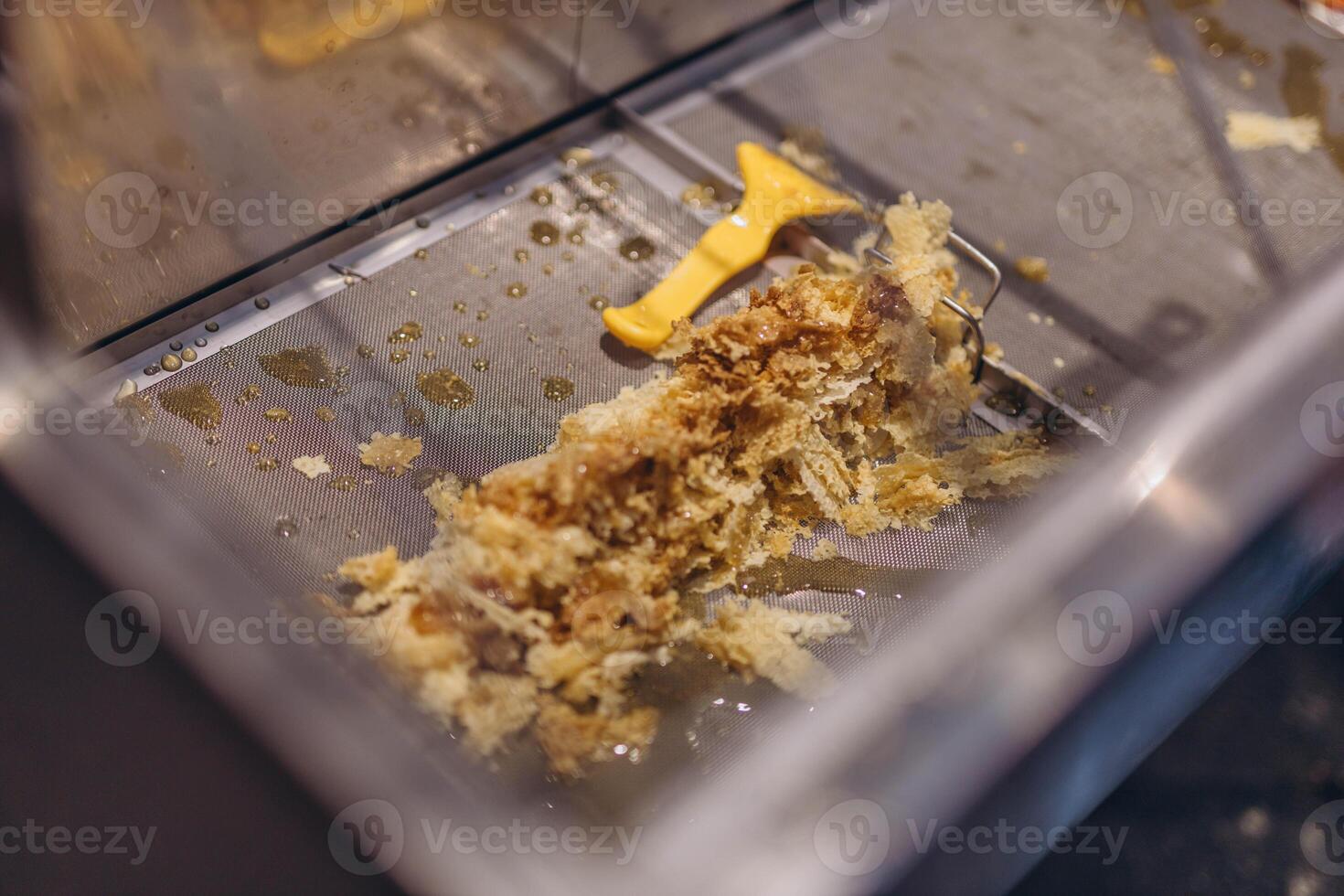 Using beekeeping tools for opening wax cells full of ready product. photo