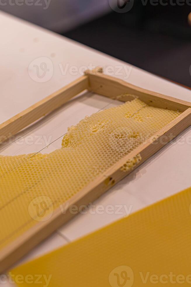 New frame with beehive wax isolated on white background photo