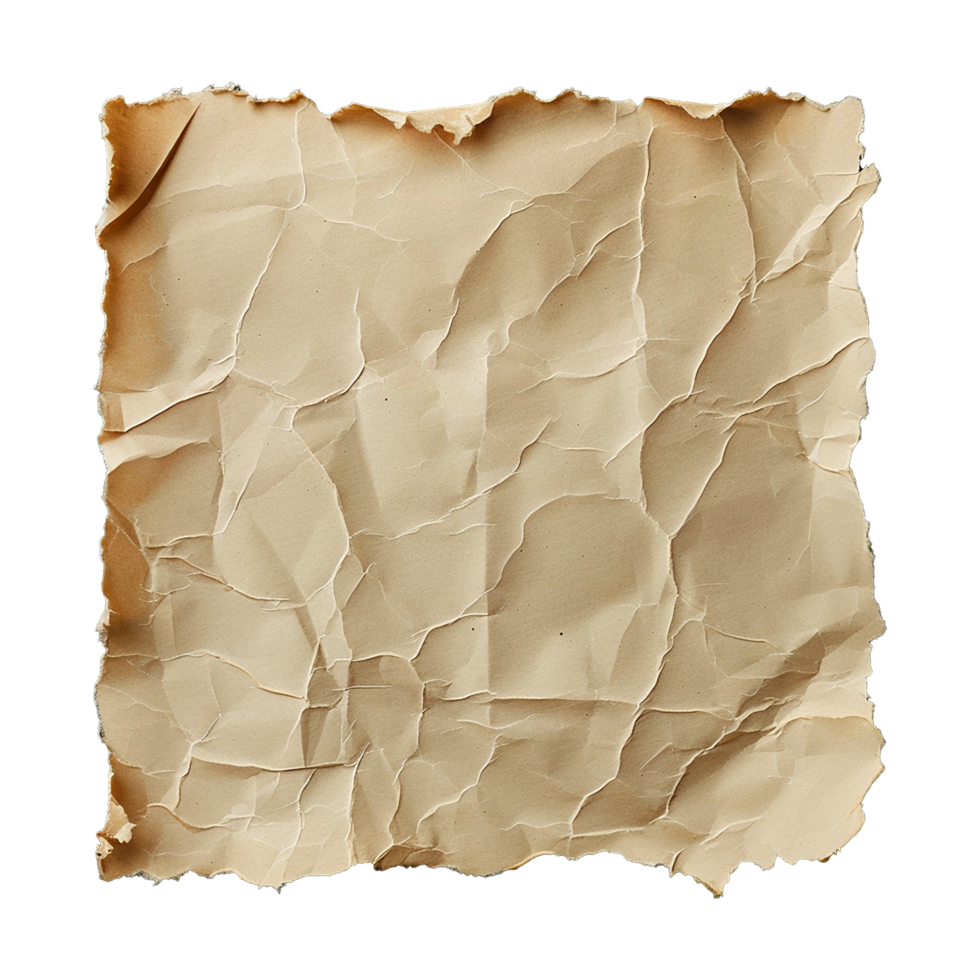 Ripped paper isolated on transparent background png