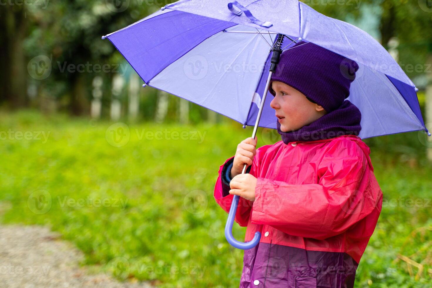 Child with an umbrella walks in the rain. Little boy with umbrella outdoors photo