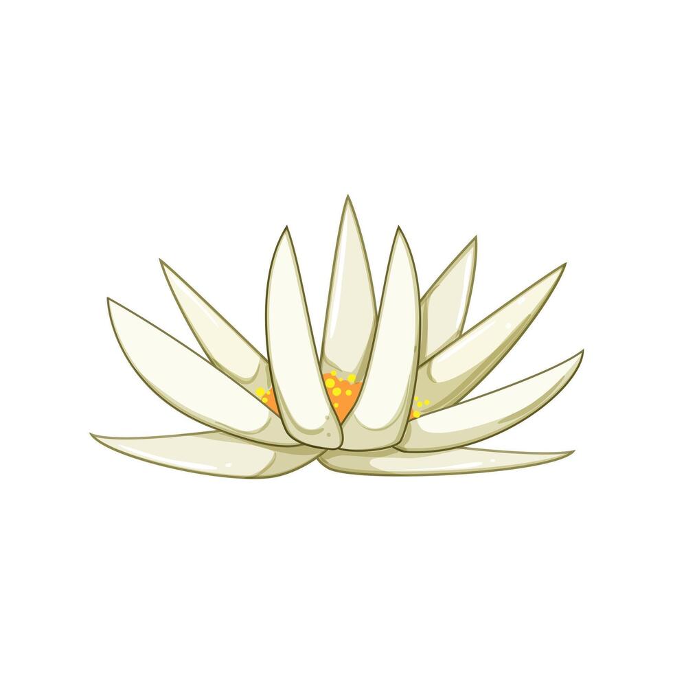leaf lotus flower cartoon illustration vector