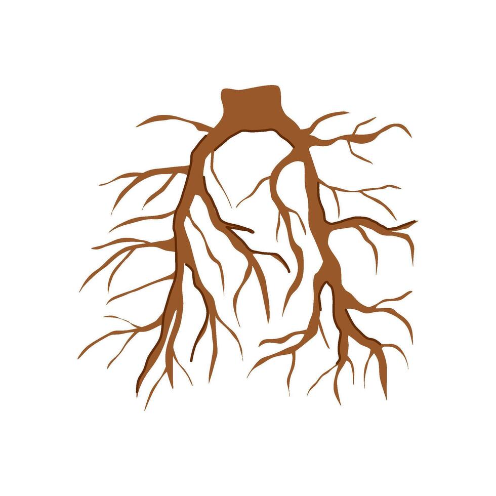 forest tree root cartoon illustration vector