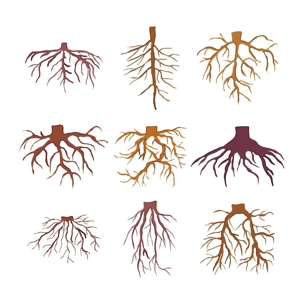tree root set cartoon illustration vector
