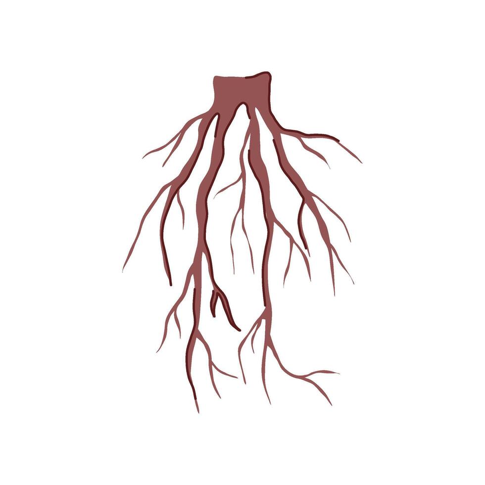 graphic tree root cartoon illustration vector