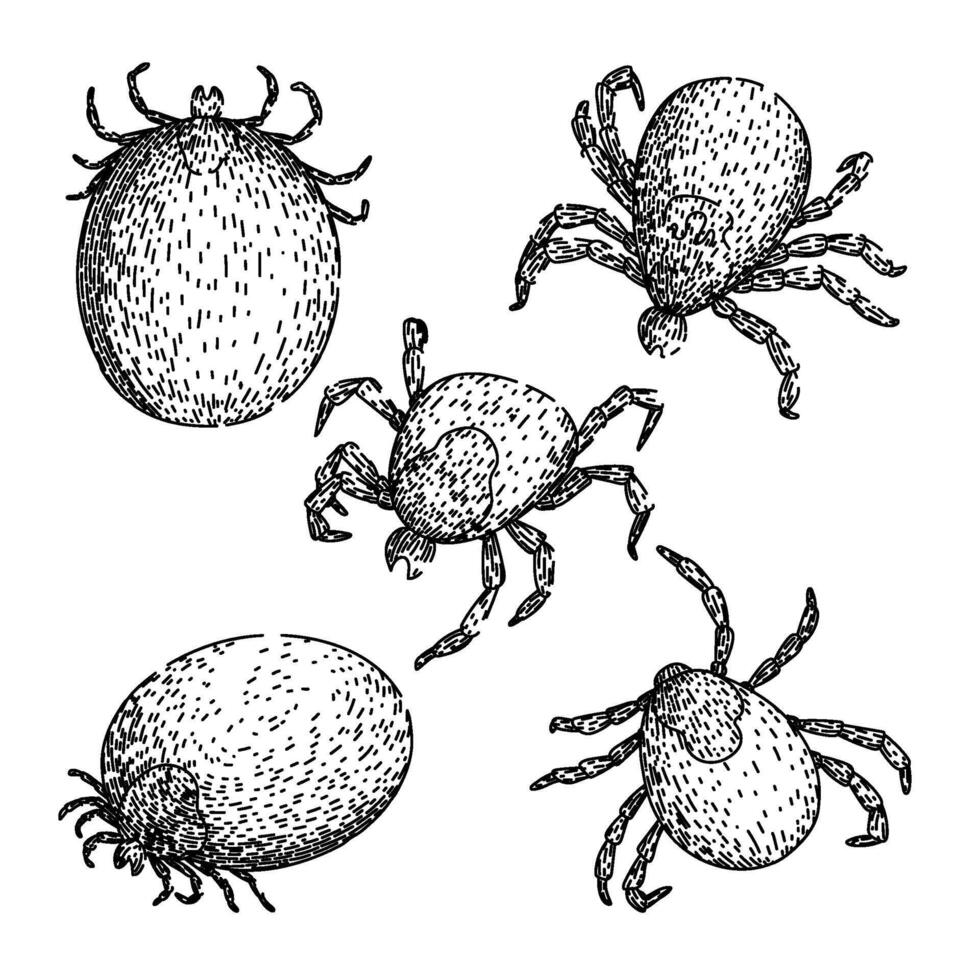 tick set sketch hand drawn vector