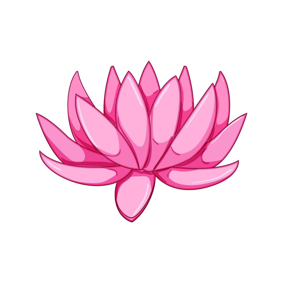 nature lotus flower cartoon illustration vector