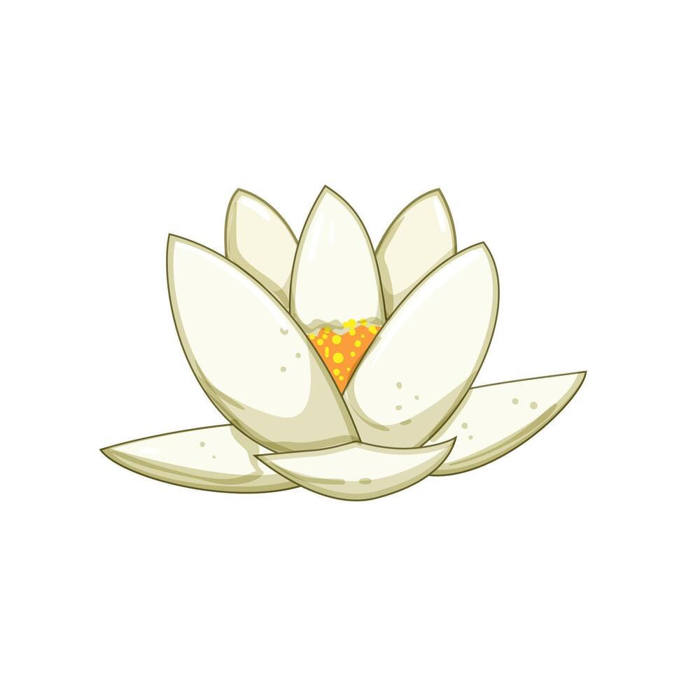 abstract lotus flower cartoon illustration vector