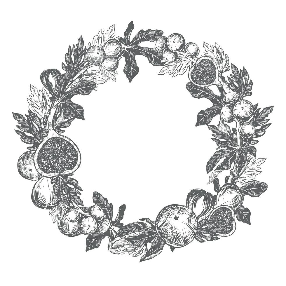 Figs round frame. hand drawn illustration on white background. Wreath of ropes, leaves, fruits on a white background. Graphic vintage print, engraving technique. vector