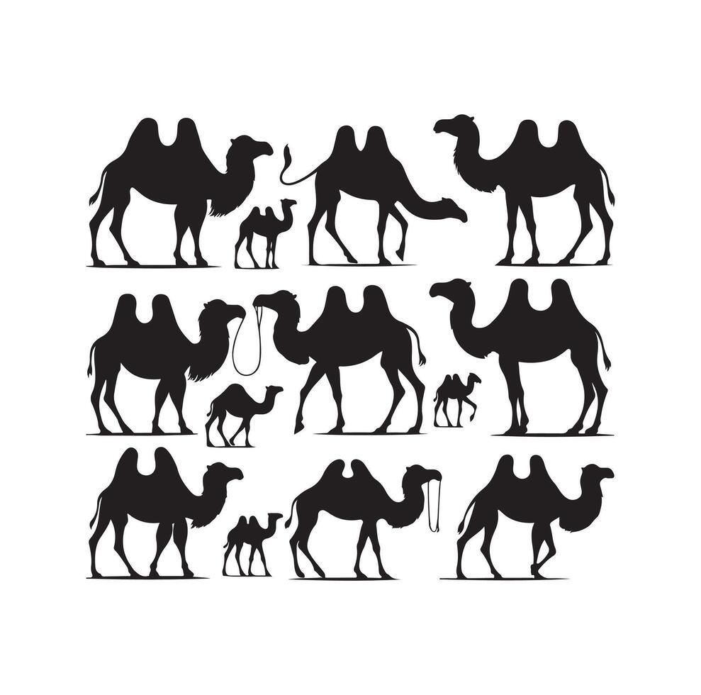 camel silhouettes illustration on white background vector