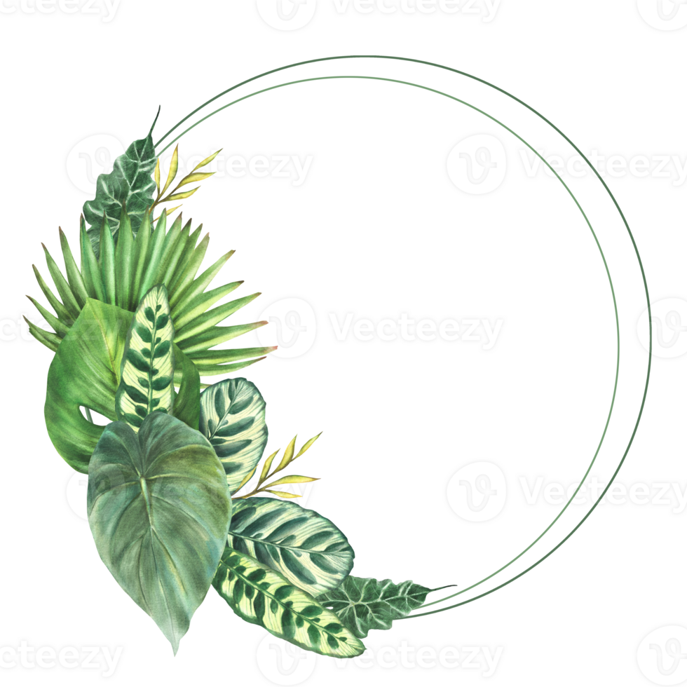 Tropical green leaves wreath, exotic home plant, Monstera palm, creeper. Variety of leaf types circle frame. Botanical jungle clipart. Watercolor hand drawn illustration. Isolated background. png