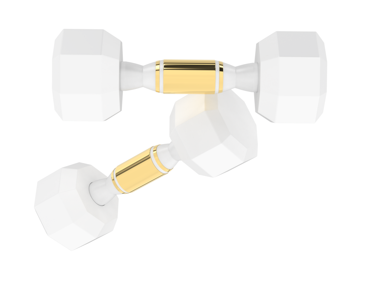 Dumbbell isolated on background. 3d rendering - illustration png