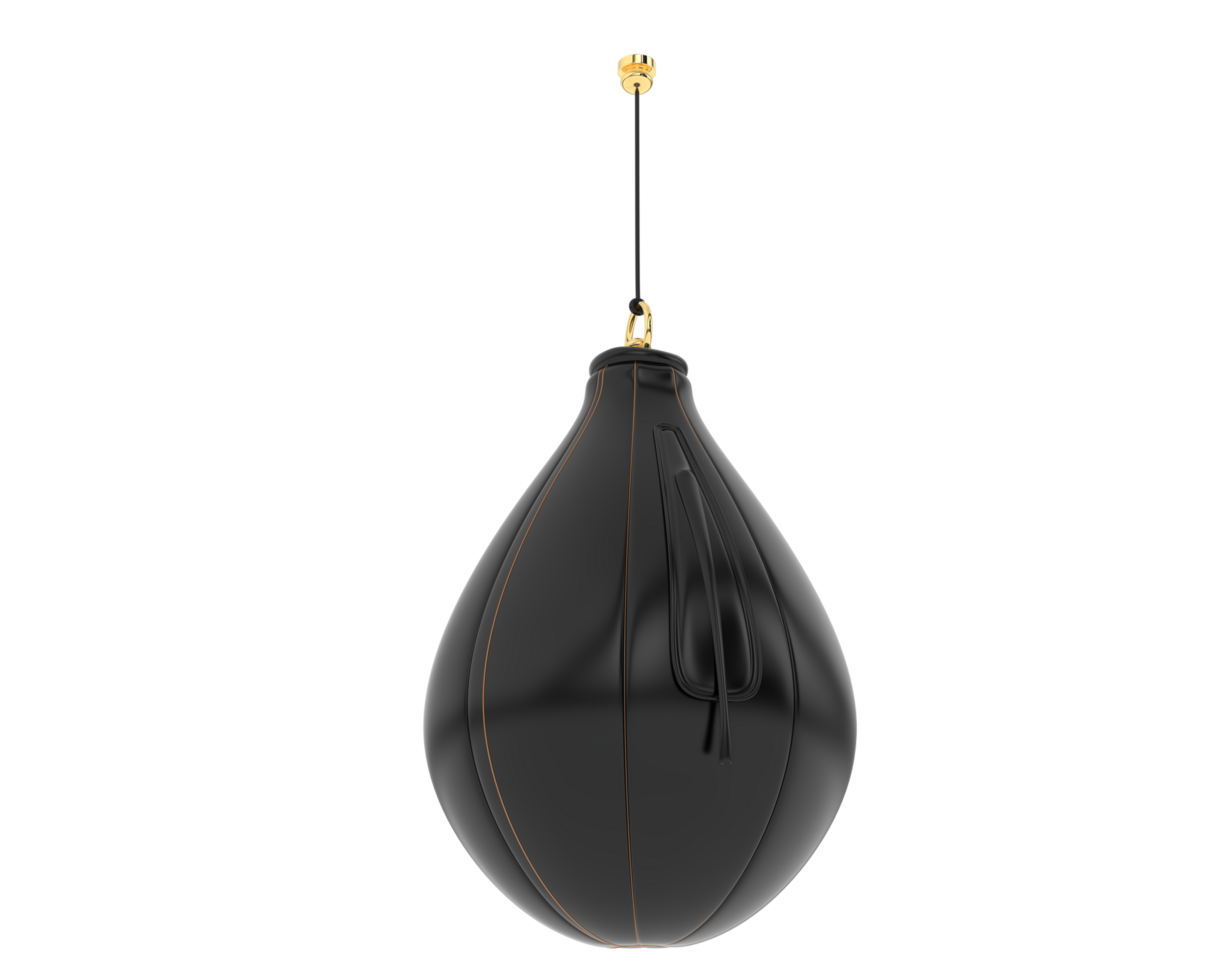 Punching bag isolated on background. 3d rendering - illustration png