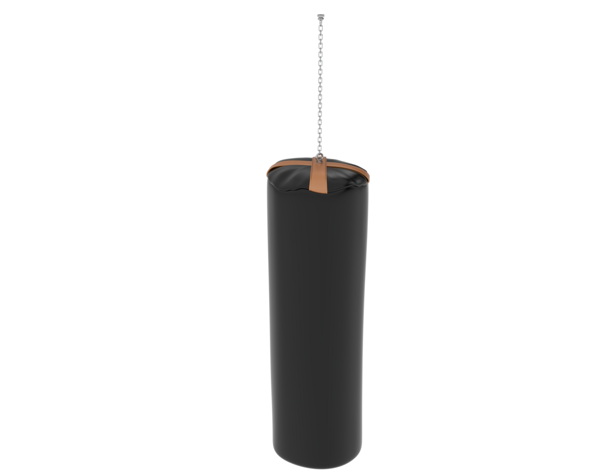 Punching bag isolated on background. 3d rendering - illustration png