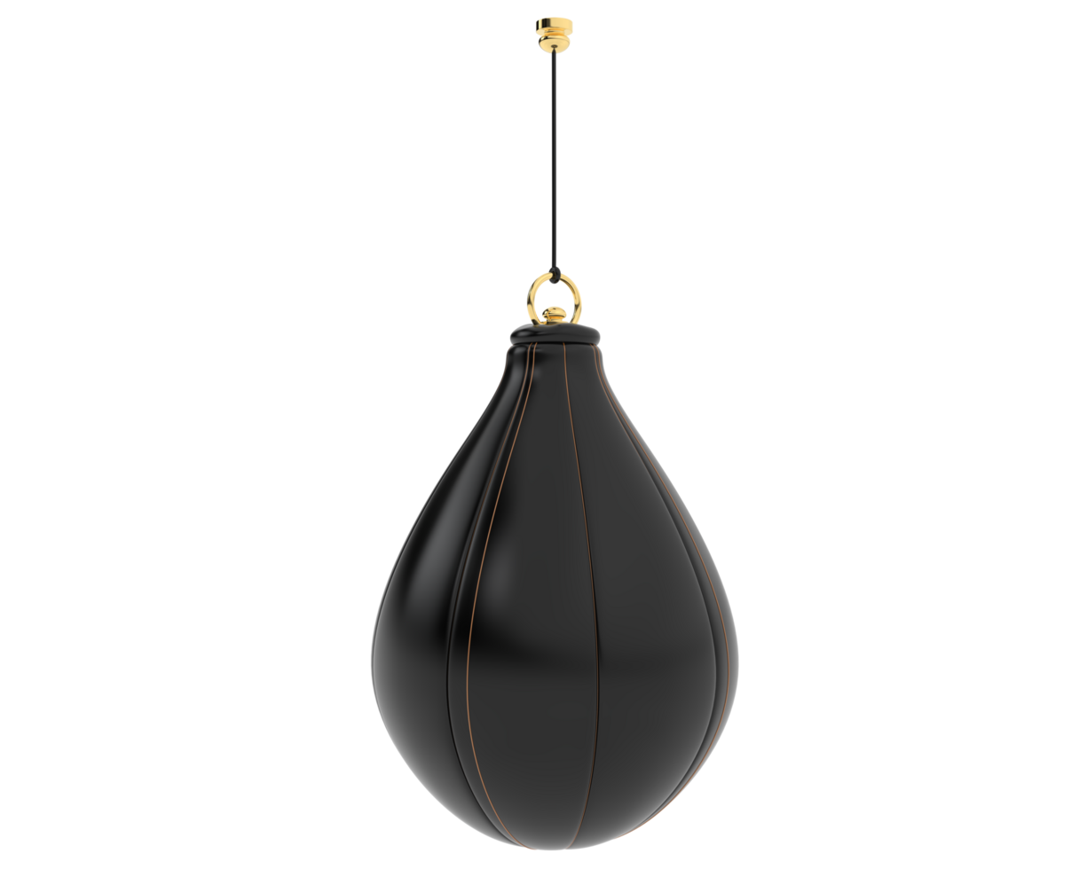 Punching bag isolated on background. 3d rendering - illustration png