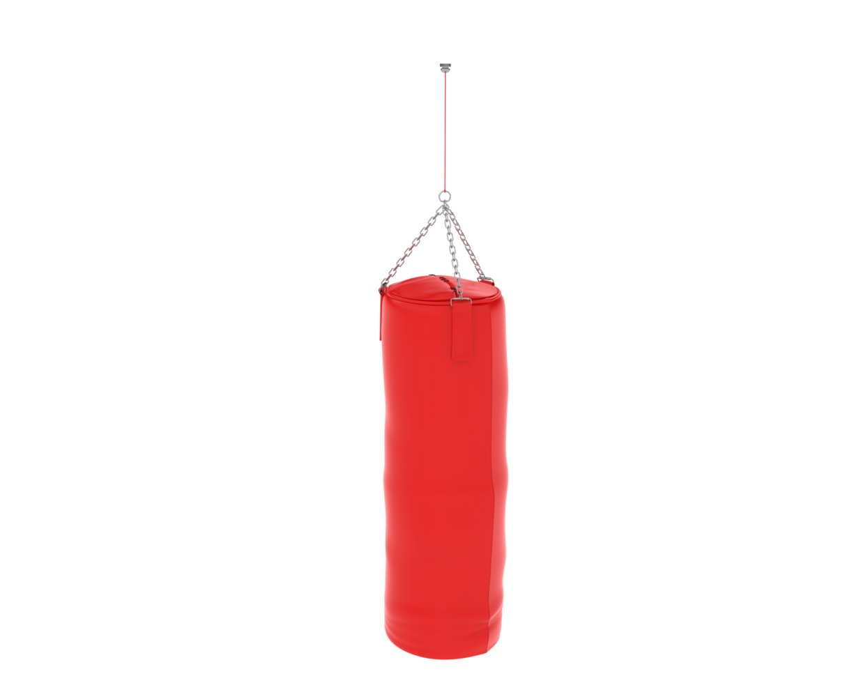 Punching bag isolated on background. 3d rendering - illustration png