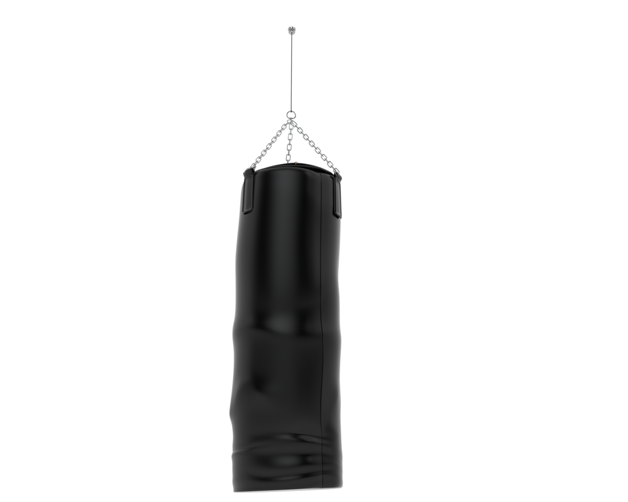 Punching bag isolated on background. 3d rendering - illustration png