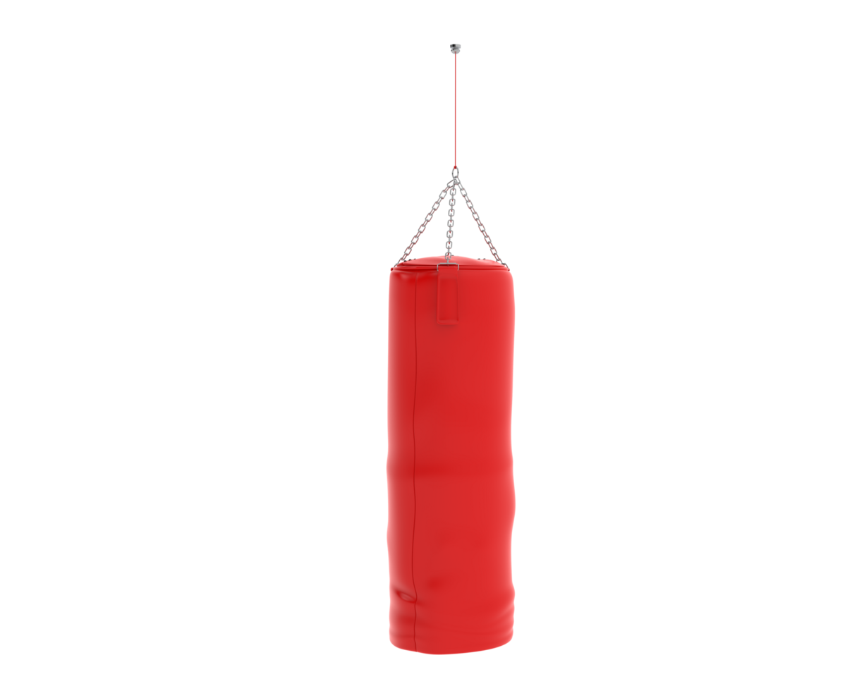 Punching bag isolated on background. 3d rendering - illustration png