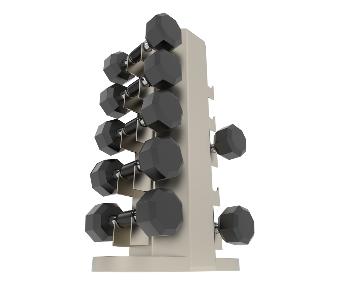 Weight tree with dumbbells isolated on background. 3d rendering - illustration png