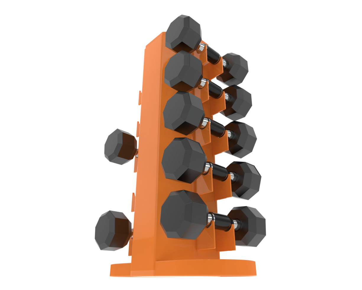 Weight tree with dumbbells isolated on background. 3d rendering - illustration png