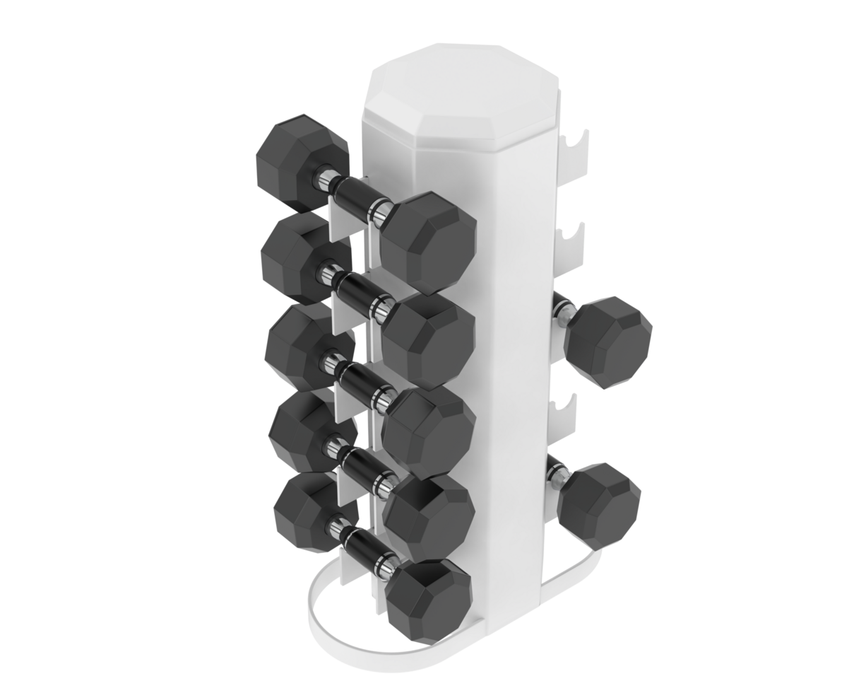 Weight tree with dumbbells isolated on background. 3d rendering - illustration png