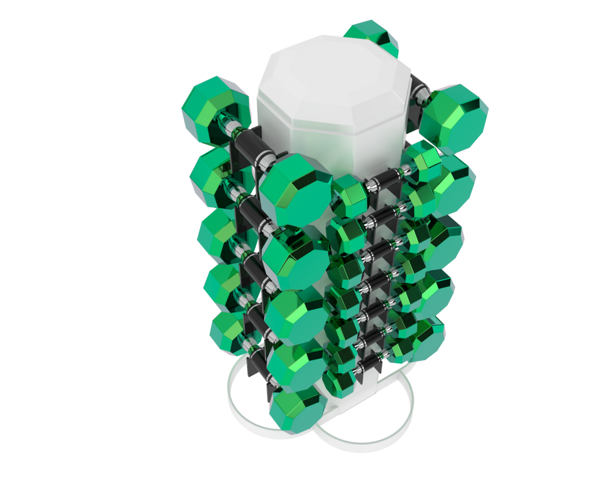 Weight tree with dumbbells isolated on background. 3d rendering - illustration png