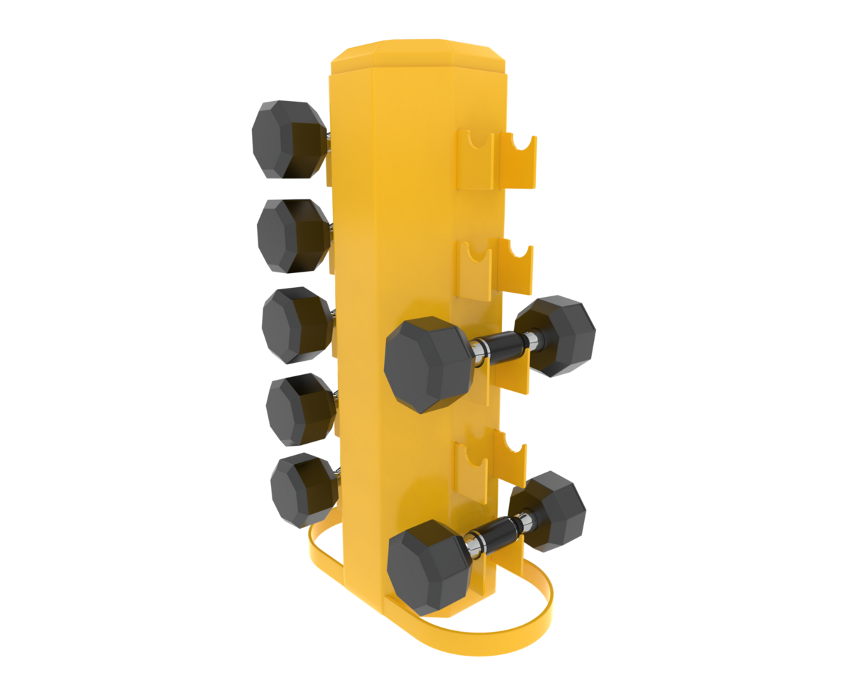 Weight tree with dumbbells isolated on background. 3d rendering - illustration png