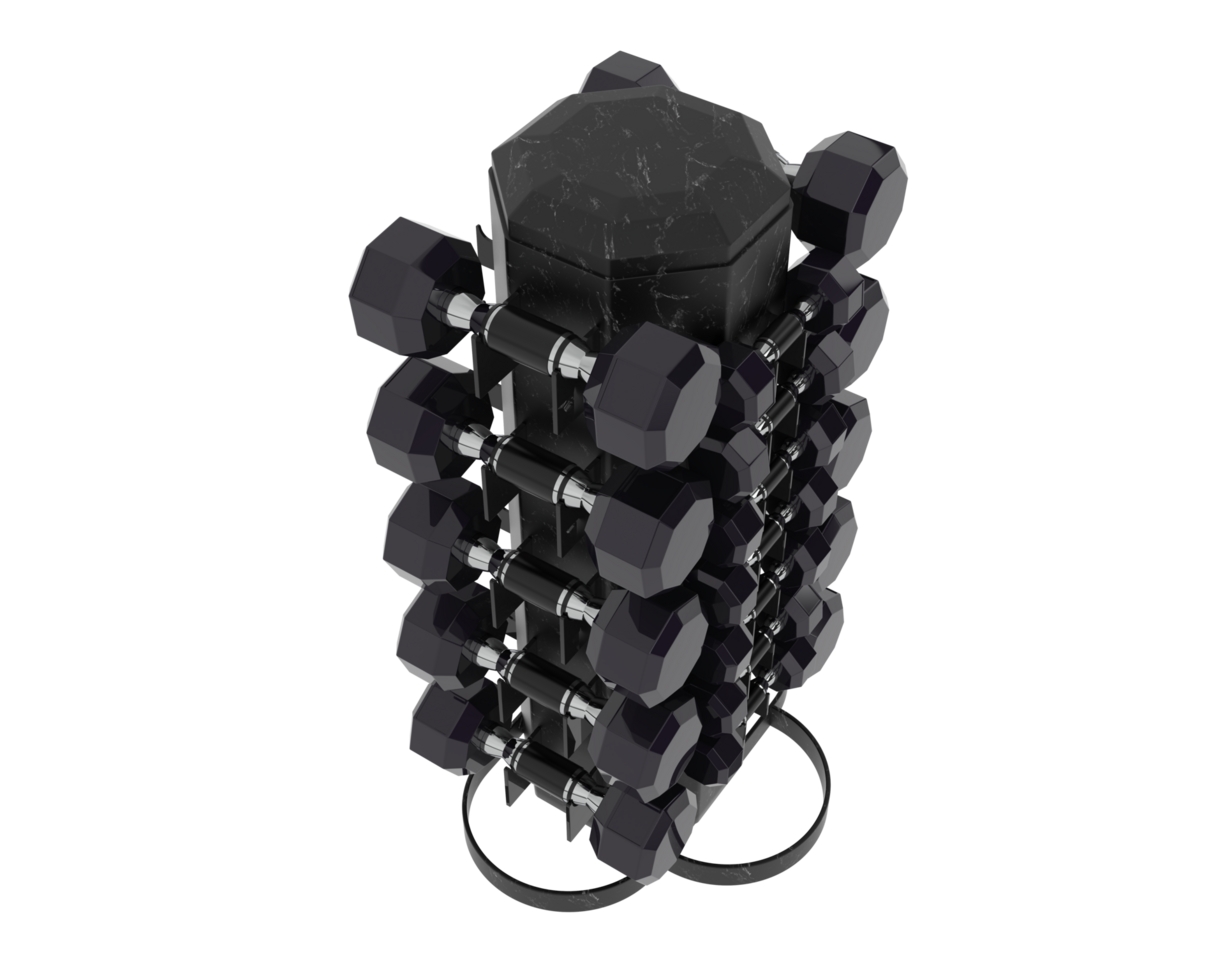Weight tree with dumbbells isolated on background. 3d rendering - illustration png