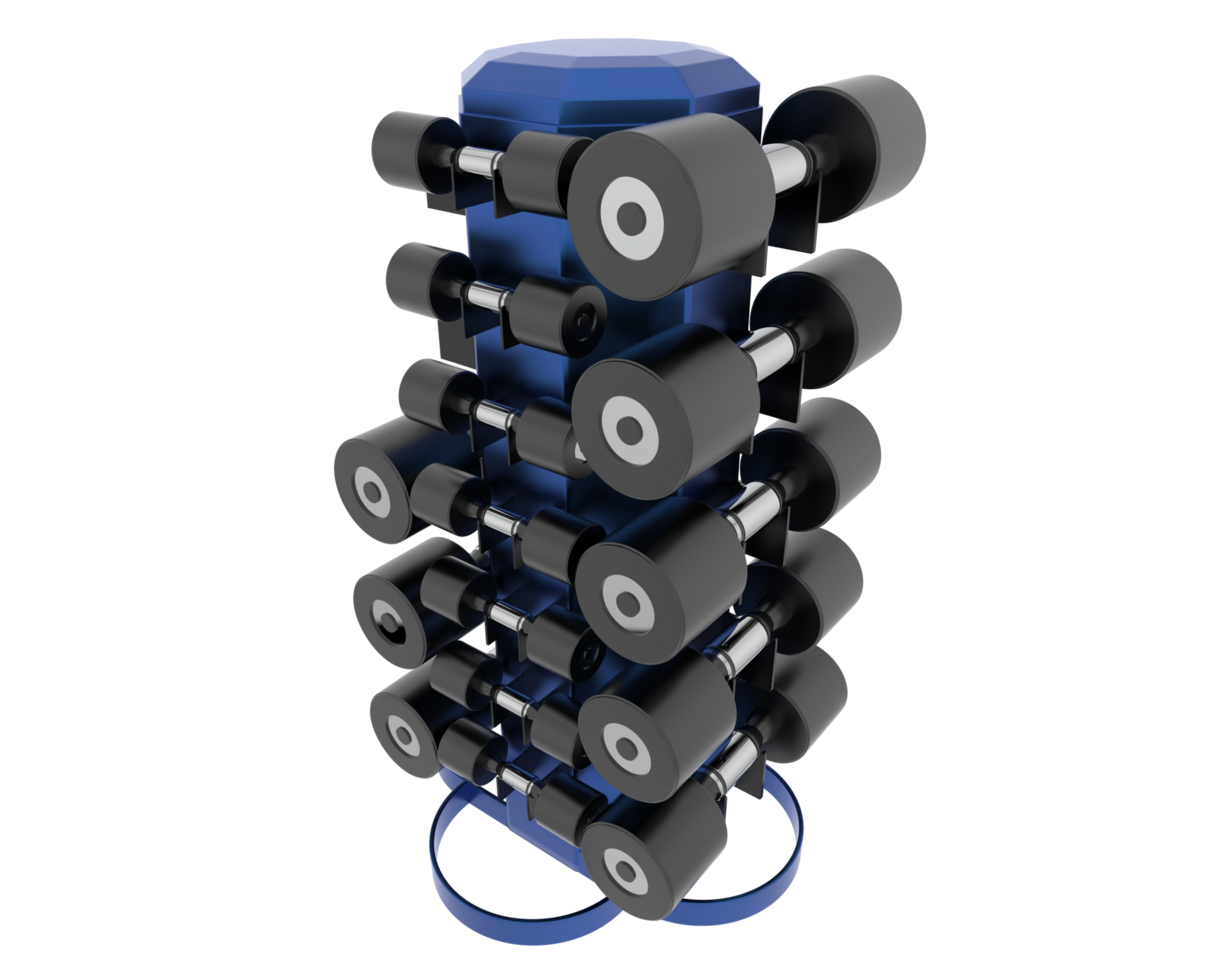 Weight tree with dumbbells isolated on background. 3d rendering - illustration png