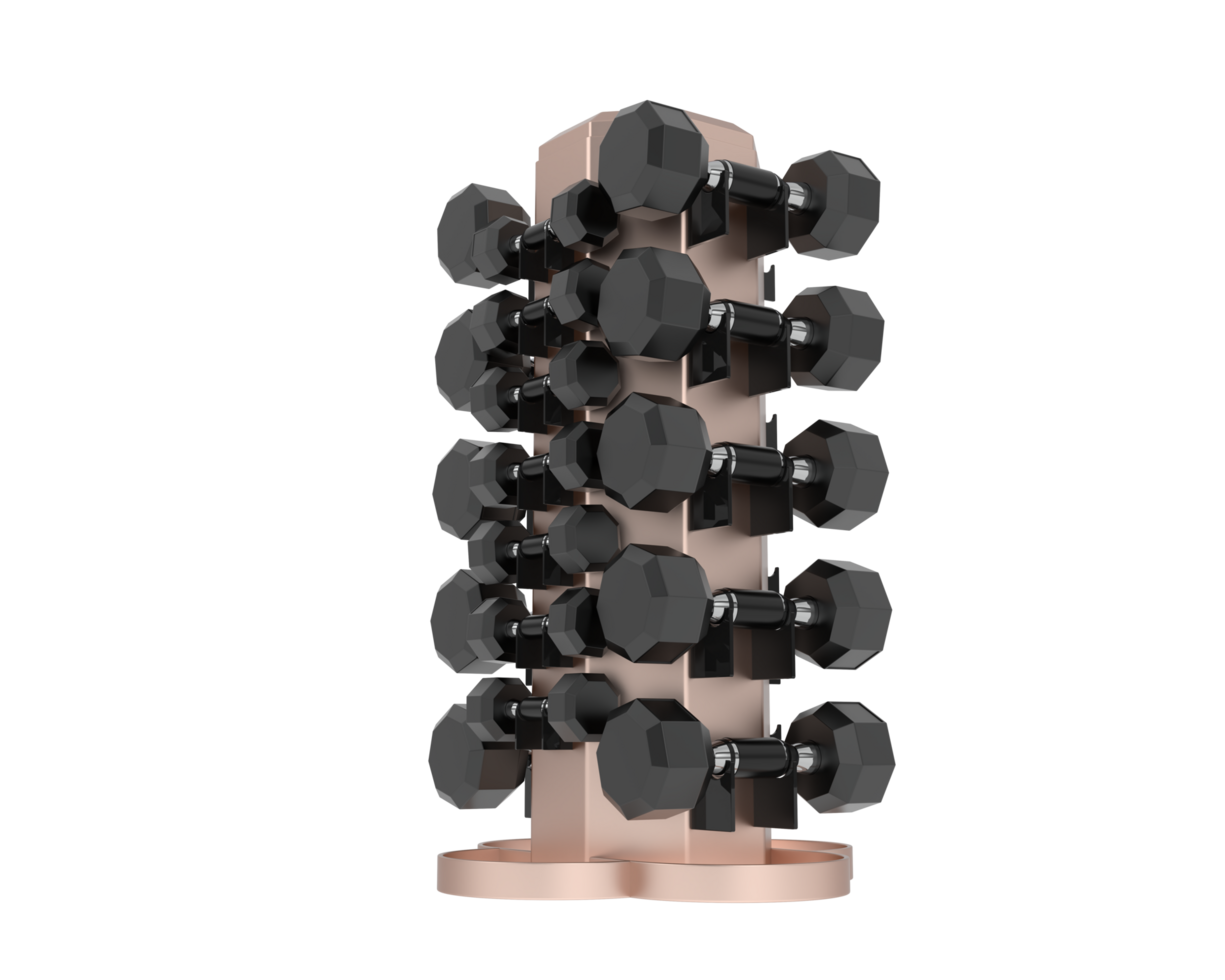 Weight tree with dumbbells isolated on background. 3d rendering - illustration png