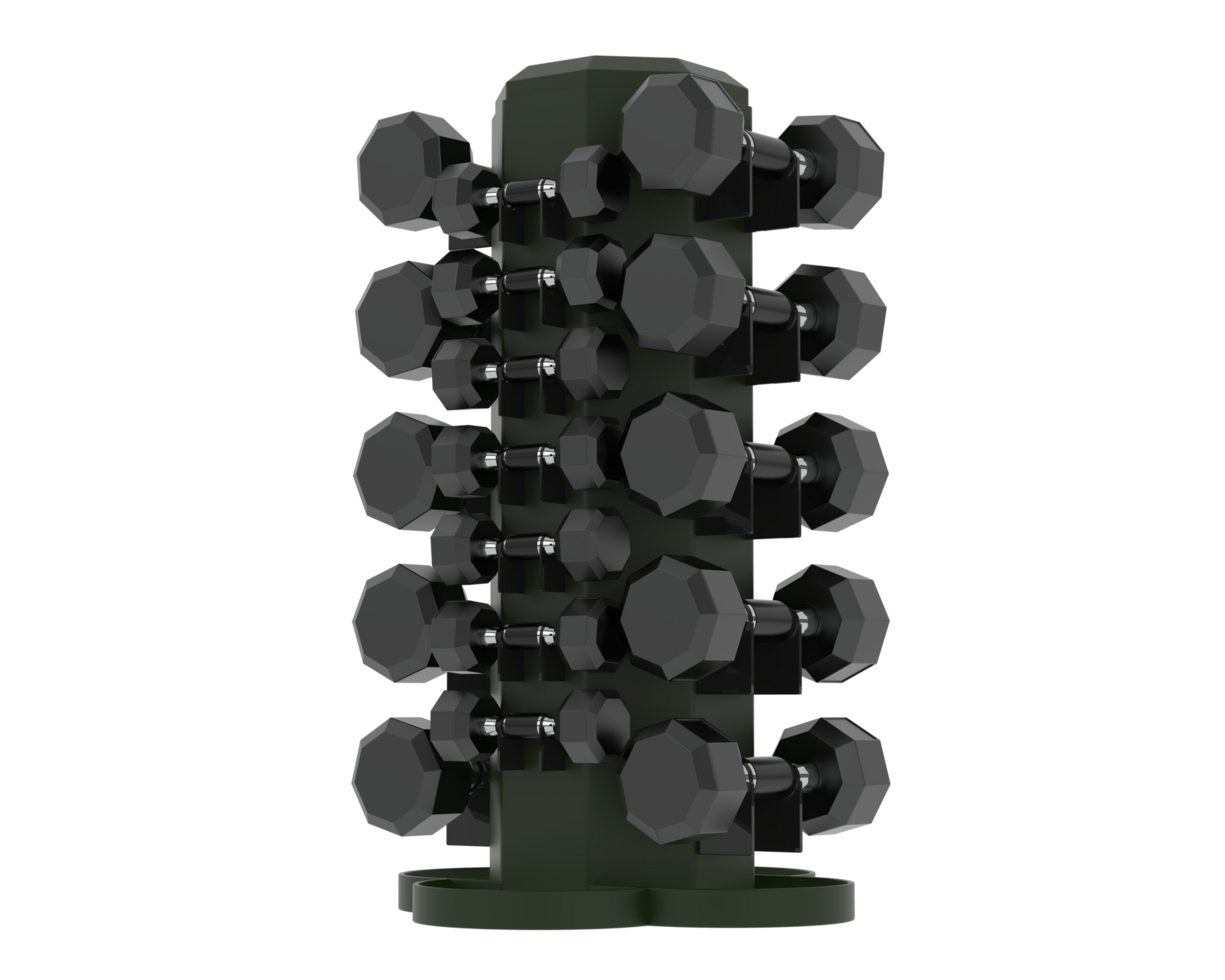 Weight tree with dumbbells isolated on background. 3d rendering - illustration png